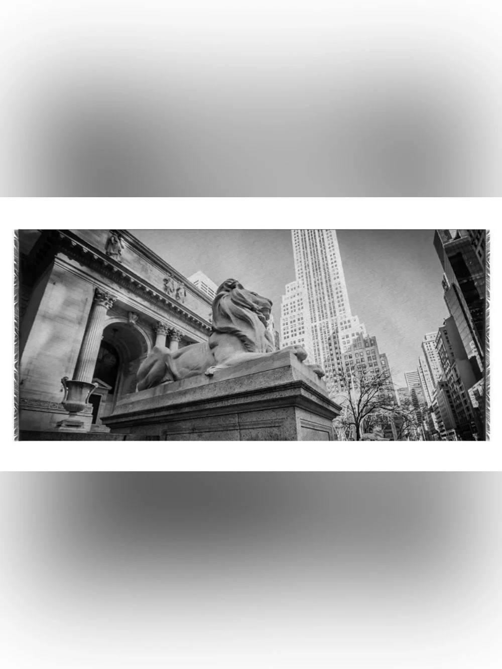 The New York Public Library Lion Scarf